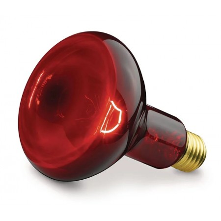 BEURER nadomestna infra rdeča žarnica 100 W 