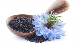 Črna kumina (Nigella Sativa)